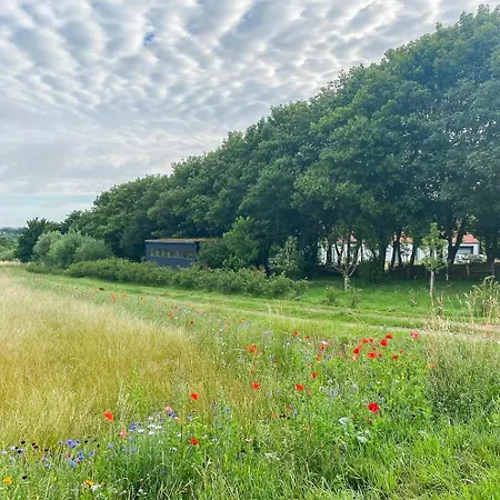 Bjerregrav Mose Og Naturen I Et Lite Hus Randers