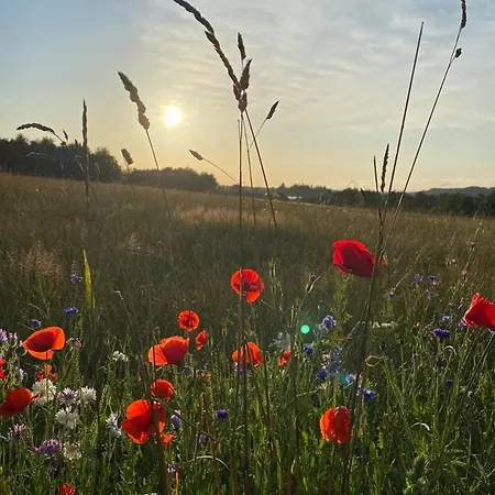 Σπίτι διακοπών Tiny House By Bjerregrav Marsh And Nature Randers