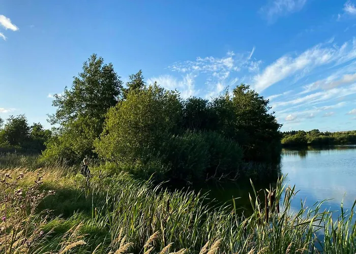 Bjerregrav Mose Og Naturen I Et Lite Hus Hébergement de vacances *