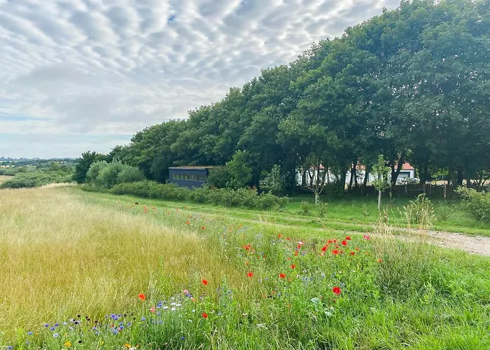 Bjerregrav Mose Og Naturen I Et Lite Hus Randers