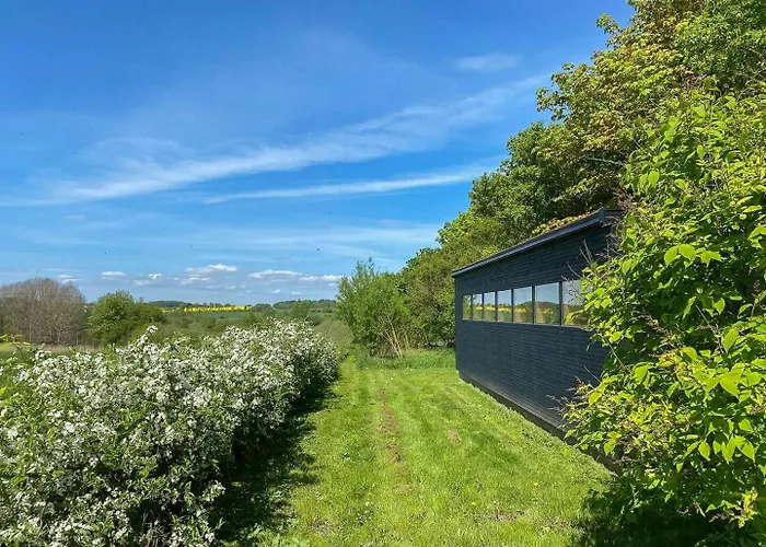 Bjerregrav Mose Og Naturen I Et Lite Hus Randers
