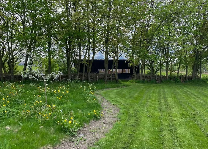 Hébergement de vacances Bjerregrav Mose Og Naturen I Et Lite Hus